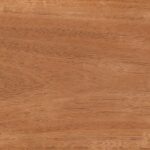 Cedar